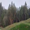 Apple Mountain Golf Resort Hole #10 - Attraction - Friday, April 21, 2023 (Sacramento Trip)