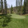 Apple Mountain Golf Resort Hole #3 - Greenside - Friday, April 21, 2023 (Sacramento Trip)