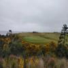 Bandon Dunes (Bandon Dunes) Hole #17 - Greenside - Saturday, April 24, 2021 (Bandon Dunes #2 Trip)