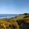  Hole #13 - View Of - Tuesday, April 27, 2021 (Bandon Dunes #2 Trip)