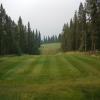 Copper Point (Point) Hole #14 - Tee Shot - Monday, July 17, 2017 (Columbia Valley #1 Trip)