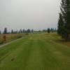 Copper Point (Point) Hole #4 - Tee Shot - Monday, July 17, 2017 (Columbia Valley #1 Trip)