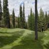 Coyote Moon Golf Course Hole #4 - Greenside - Tuesday, July 22, 2025 (Tahoe Trip)