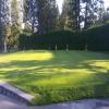 Cranbrook Golf Club - Practice Green - Sunday, August 28, 2016 (Cranberley #1 Trip)