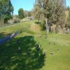 Eagle Crest (Resort) Hole #2 - Wildlife - Sunday, June 30, 2019 (Bend #3 Trip)