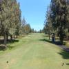 Eagle Crest (Resort) Hole #13 - Tee Shot - Sunday, June 30, 2019 (Bend #3 Trip)