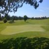 Eagle Crest (Resort) Hole #8 - Greenside - Sunday, June 30, 2019 (Bend #3 Trip)