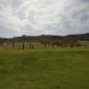 Green Spring Golf Course - Driving Range - Wednesday, April 27, 2022 (St. George Trip)