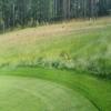 Greywolf Golf Course Hole #5 - Wildlife - Tuesday, July 23, 2024 (Banff Trip)