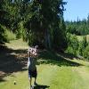  Hole #13 - Tee Shot - Monday, June 30, 2025 (Hood River Trip)