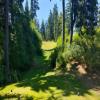  Hole #17 - Tee Shot - Monday, June 30, 2025 (Hood River Trip)