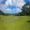 Ko'olau Golf Club - Driving Range - Wednesday, November 28, 2018 (Oahu Trip)