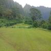 Ko'olau Golf Club Hole #11 - Approach - 2nd - Wednesday, November 28, 2018 (Oahu Trip)