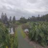 Makani Golf Club Hole #17 - Greenside - Thursday, February 16, 2023 (Island of Hawai'i Trip)