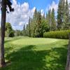 Manito Golf and Country Club Hole #15 - Greenside - Sunday, June 10, 2018