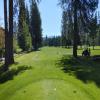 McCall Golf Club (Aspen/Birch) Hole #15 - Tee Shot - Sunday, June 23, 2024 (McCall #1 Trip)