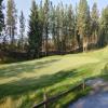 Okanagan Golf Club (Bear) Hole #3 - Greenside - Monday, July 20, 2026 (Kelowna #2 Trip)