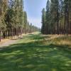 Okanagan Golf Club (Bear) Hole #9 - Tee Shot - Monday, July 20, 2026 (Kelowna #2 Trip)