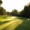 Pinehurst (No. 3) - Preview
