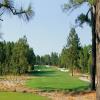 Pinehurst (No. 6) - Preview