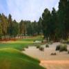 Pinehurst (No. 8) - Preview