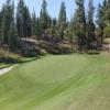  Hole #8 - Greenside - Friday, September 6, 2024 (Kelowna #1 Trip)