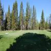 Quail Run Golf Course Hole #4 - Greenside - Thursday, July 21, 2022 (Sunriver #2 Trip)