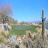 SunRidge Canyon Golf Club - Practice Green - Thursday, January 2, 2020 (Scottsdale Trip)