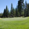  Hole #11 - Greenside - Tuesday, July 19, 2022 (Sunriver #2 Trip)
