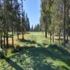 Sunriver Resort (Woodlands) Hole #8 - Tee Shot - Monday, July 18, 2022 (Sunriver #2 Trip)