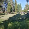 Sunriver Resort (Woodlands) - Practice Green - Monday, July 18, 2022 (Sunriver #2 Trip)