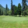 Three Nines Golf Course (Thistle / Pine Cone) Hole #11 - Greenside - Sunday, June 29, 2025 (Hood River Trip)