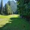 Three Nines Golf Course (Thistle / Pine Cone) Hole #11 - Tee Shot - Sunday, June 29, 2025 (Hood River Trip)