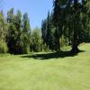 Three Nines Golf Course (Thistle / Pine Cone) Hole #12 - Approach - Sunday, June 29, 2025 (Hood River Trip)