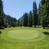 Three Nines Golf Course (Thistle / Pine Cone) Hole #14 - Greenside - Sunday, June 29, 2025 (Hood River Trip)