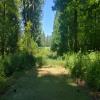 Three Nines Golf Course (Thistle / Pine Cone) Hole #14 - Tee Shot - Sunday, June 29, 2025 (Hood River Trip)
