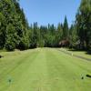 Three Nines Golf Course (Foxglove) Hole #6 - Tee Shot - Sunday, June 29, 2025 (Hood River Trip)