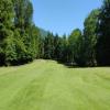 Three Nines Golf Course (Foxglove) Hole #8 - Approach - Sunday, June 29, 2025 (Hood River Trip)