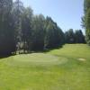 Three Nines Golf Course (Foxglove) Hole #8 - Greenside - Sunday, June 29, 2025 (Hood River Trip)
