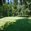 Three Nines Golf Course (Thistle / Pine Cone) Hole #8 - Greenside - Sunday, June 29, 2025 (Hood River Trip)