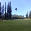 Turtle Bay (George Fazio) Hole #7 - Greenside - Monday, November 26, 2018 (Oahu Trip)