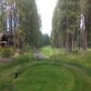 Widgi Creek Golf Club Hole #8 - Tee Shot - Tuesday, July 2, 2019 (Bend #3 Trip)