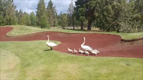 Aspen Lakes Hole #12 - Wednesday, July 3, 2019 (Bend #3 Trip)