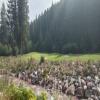 Golden Golf Club Hole #11 - Greenside - Sunday, August 16, 2026 (Columbia Valley #2 Trip)